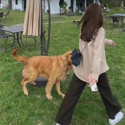 黑暗物质三部曲第二季